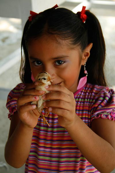 A beautiful little girl in Oaxaca very proud of her baby chick.