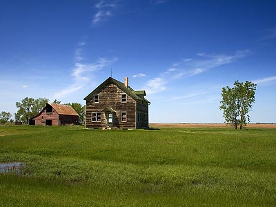 Nothing but birds living in this abandoned farmhouse in North Dakota.