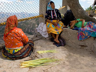 Tarahumara woman and girls preparing reeds for weaving into baskets.