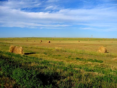 Just miles of hay fields - stocking up for winter?