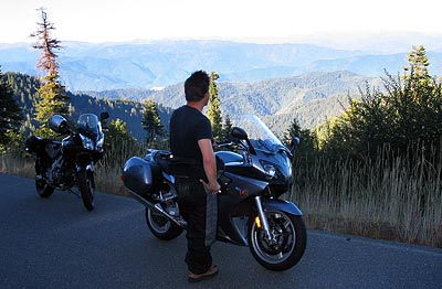 Dusty enjoying the view along Forest Road 1 through Six Rivers and Trinity National Forests