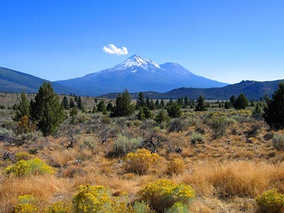 Mount Shasta and a pretty little cloud.